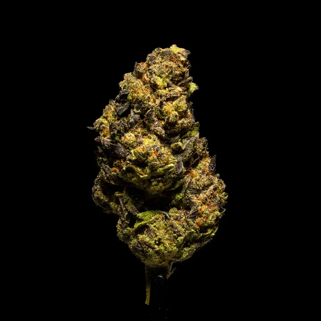 Hashburger #2 -FLOAT- 103125 (1).webp