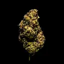 Hashburger #2 -FLOAT- 103125 (1).webp