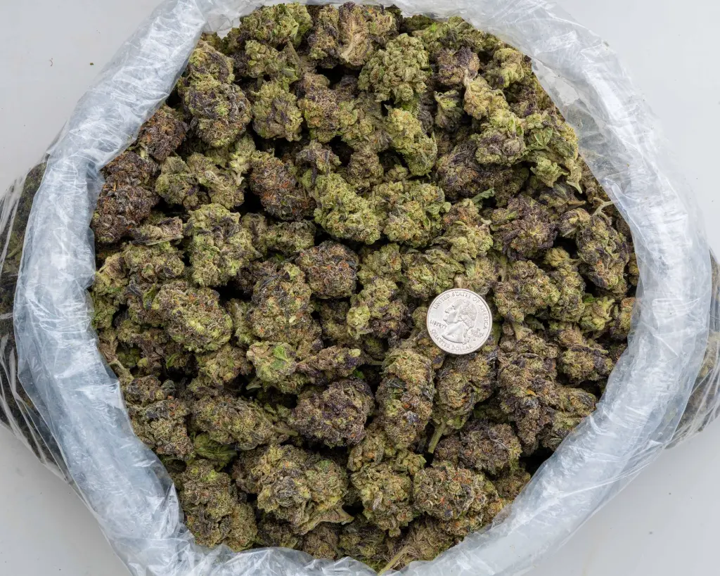 Hashburger #2 -BAG- 103125.webp