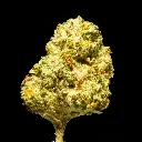 CC -FLOAT- 101725.webp