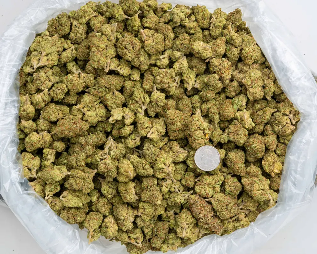 LCGF #3 -BAG- 103125.webp