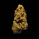 LCGF #3 -FLOAT- 103125.webp