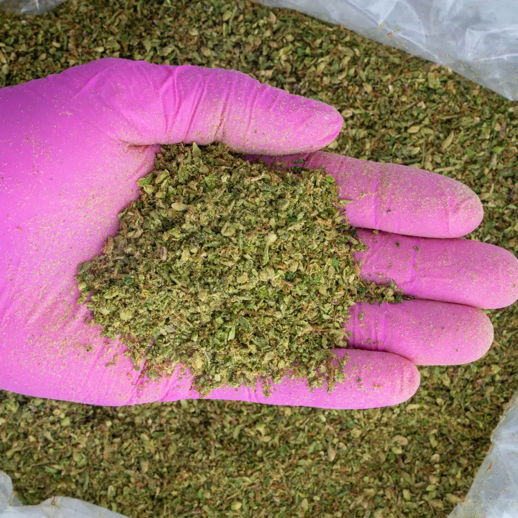 Thin Mint Jealousy-A-Trim -PINK- 061725.webp