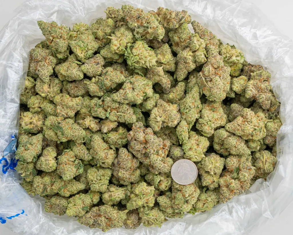 Singapore Sling Indoor -BAG- 092625 20250925SSASSL.webp