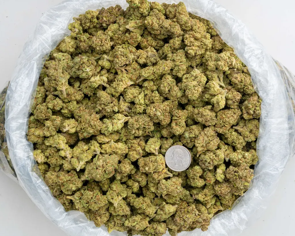 LCGM #4 -BAG- 103125 (1).webp