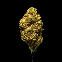 LCGM #4 -FLOAT- 103125.webp