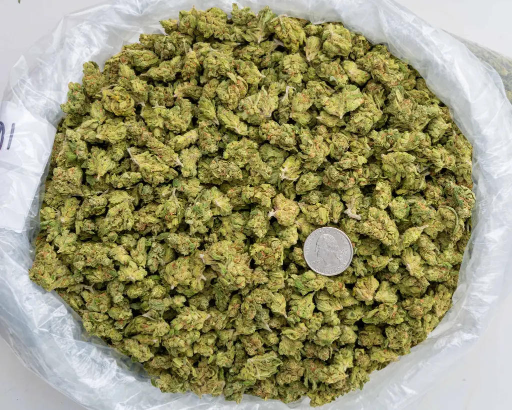 S'Mores Smalls -BAG- 102725.webp