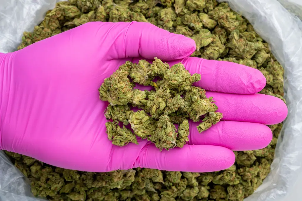 S'Mores Smalls -PINK- 102725.webp