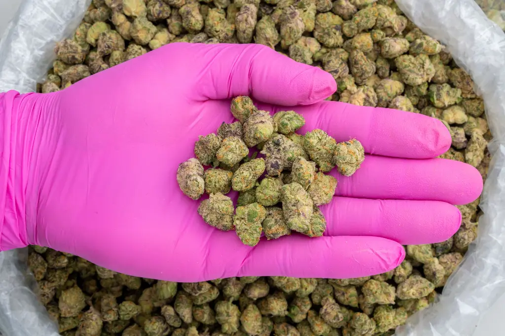 Private Reserve Indoor Smalls -PINK- 110725.webp