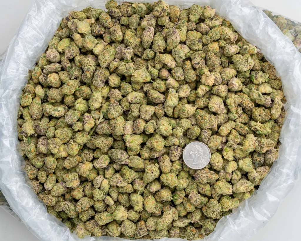 Private Reserve Indoor Smalls -BAG- 110725.webp