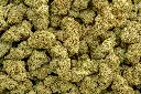 Mimosa -NUG- 110725.webp