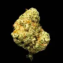 Apple Mac Indoor Smalls -FLOAT- 110725.webp