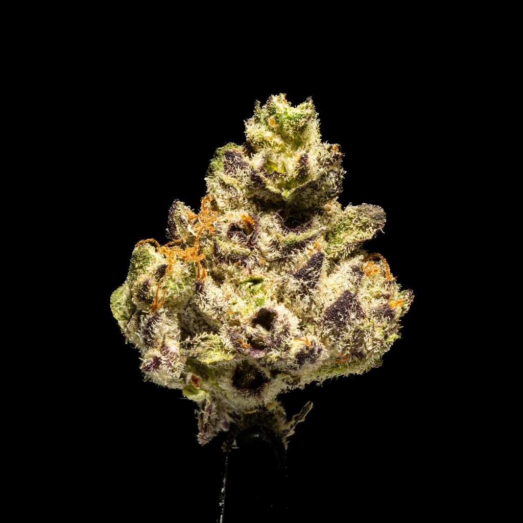 Black Runtz Indoor Smalls -FLOAT- 110725.webp