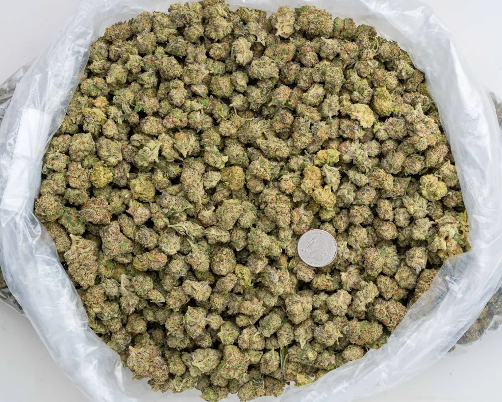 Cereal Milk Indoor Smalls -BAG- 110725.webp