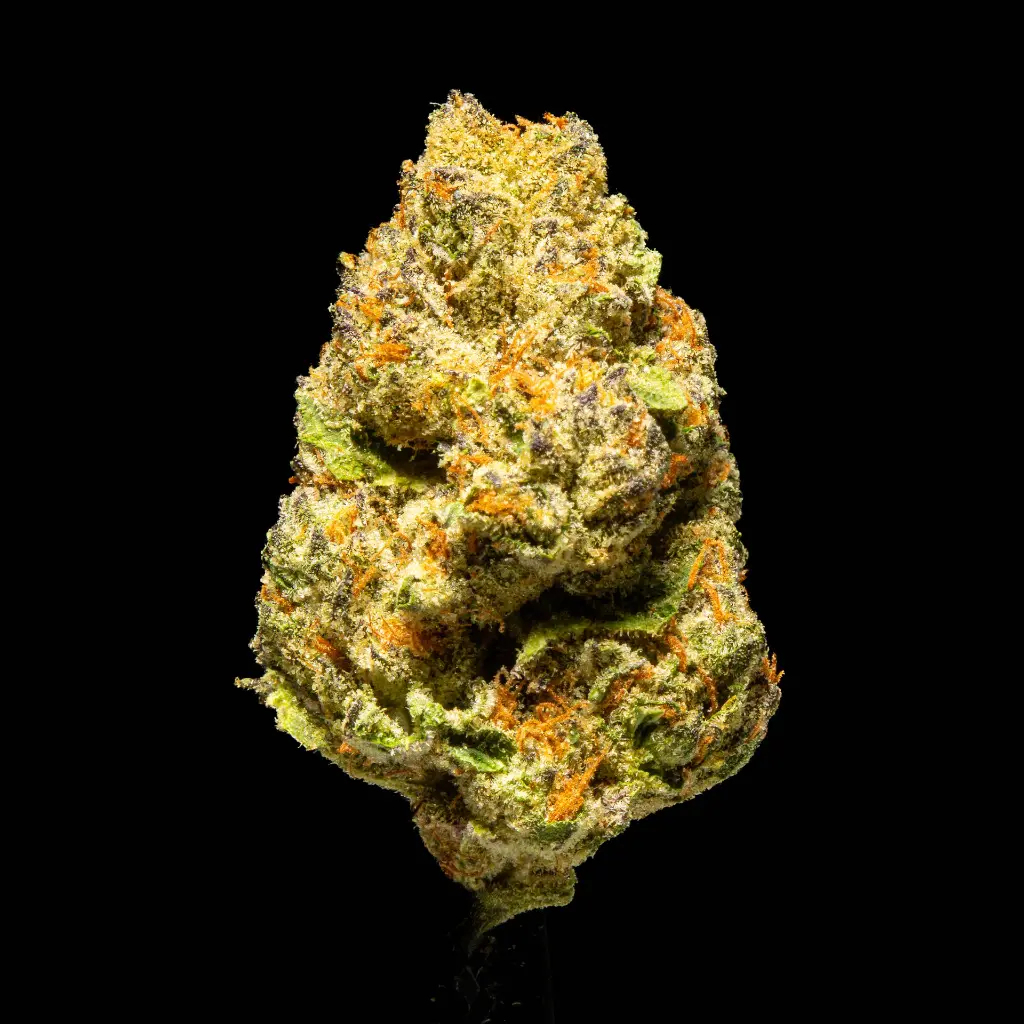 Cereal Milk Indoor Smalls -FLOAT- 110725.webp