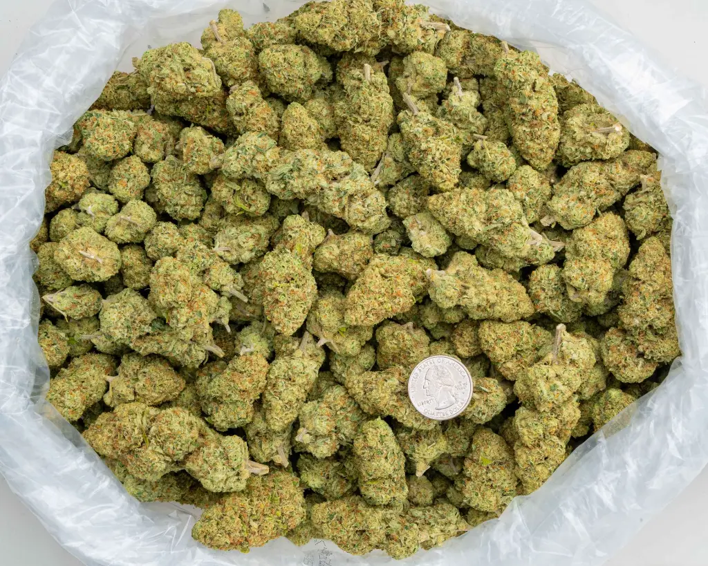 Cookies & Cream -BAG- 110725.webp