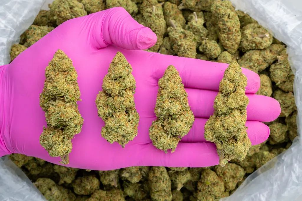 Cookies & Cream -PINK- 110725.webp