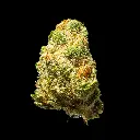 Devil Fruit Indoor Smalls -FLOAT- 110725.webp