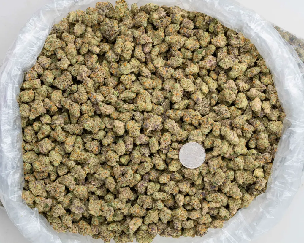 Gary Payton Indoor Smalls -BAG- 110725.webp