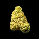 Hella Jelly Indoor Smalls -FLOAT- 110725.webp