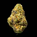 Hooch Indoor Smalls -FLOAT- 110725.webp