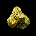 Lemon Bars Indoor Smalls -FLOAT- 110725.webp