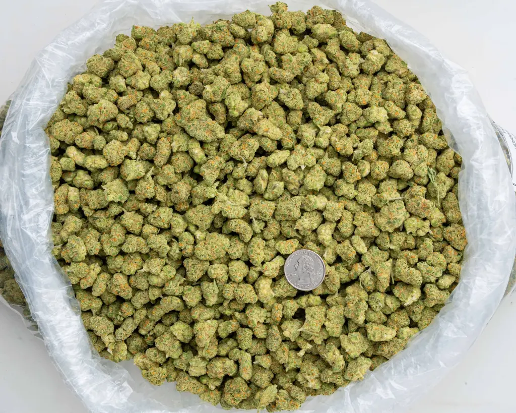 Lemon Bars Indoor Smalls -BAG- 110725.webp