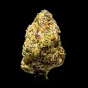 Lipsmackerz Indoor Smalls -FLOAT- 110725.webp