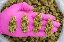 Sour Kush Breath -PINK- 110725.webp