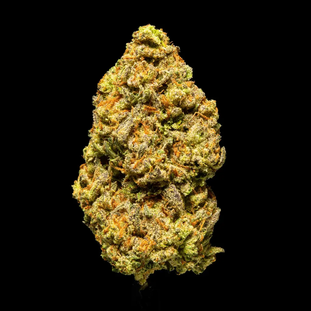 Stellar Daze -FLOAT- 110725.webp