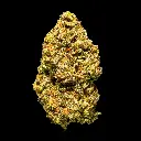 Stellar Daze -FLOAT- 110725.webp