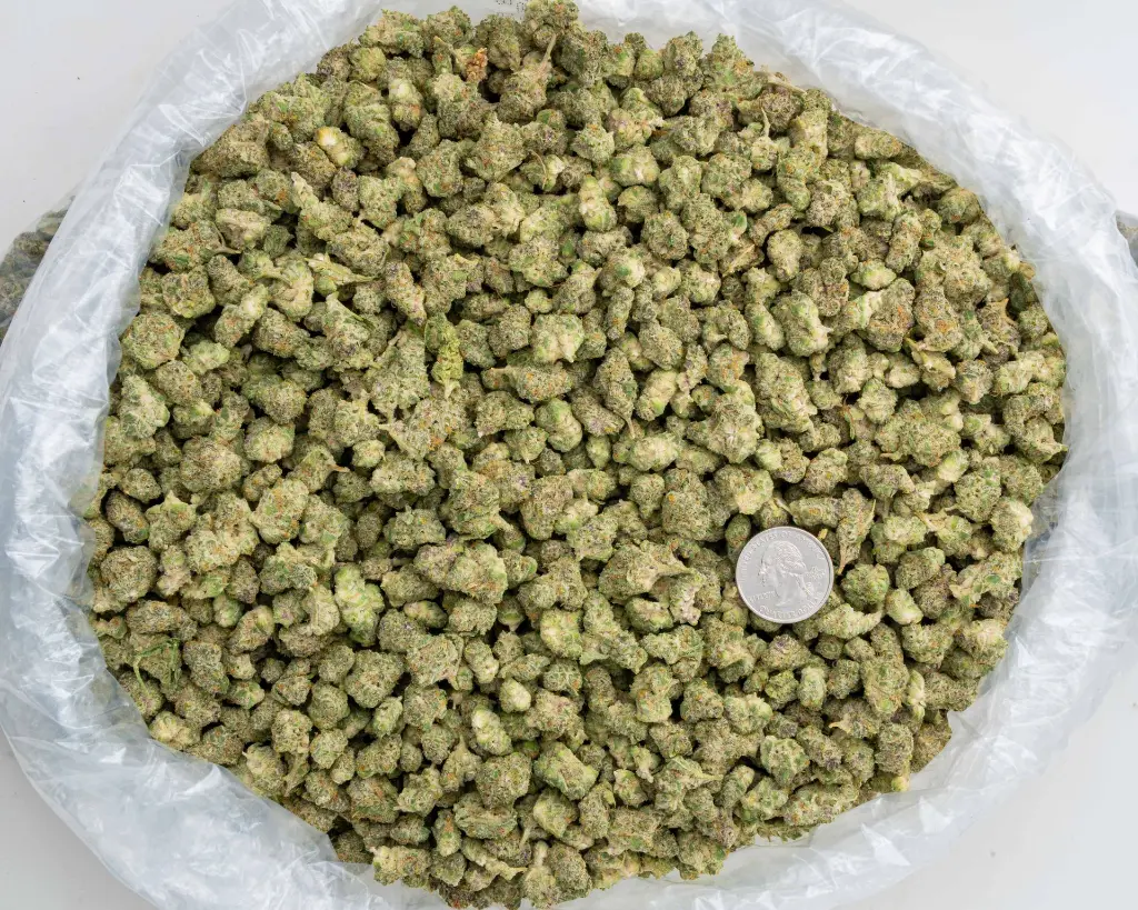 Tropicana Cherry Indoor Smalls -BAG- 110725.webp