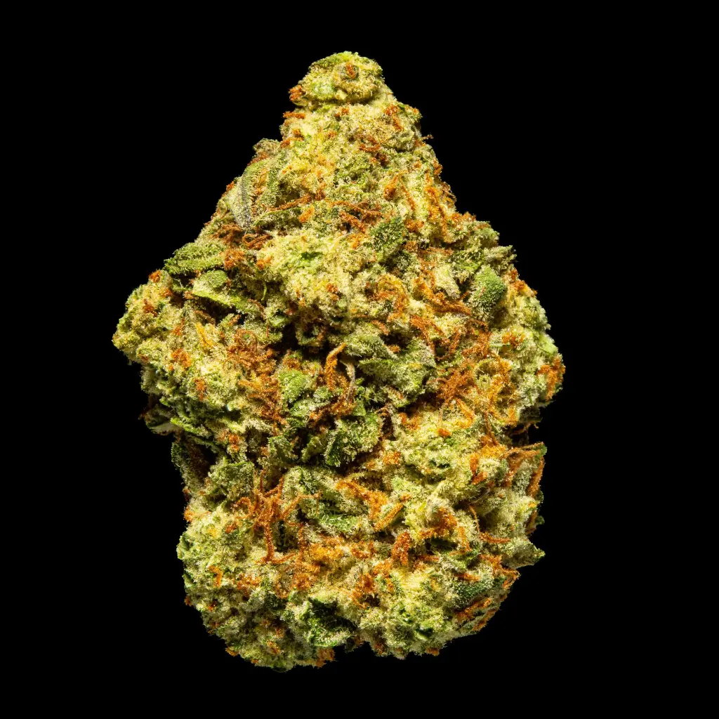 S'Mores -FLOAT- 110725.webp