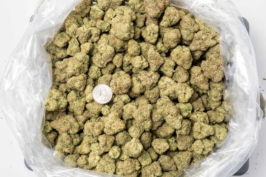 Boss Frost IN Big -BAG- 111725.webp