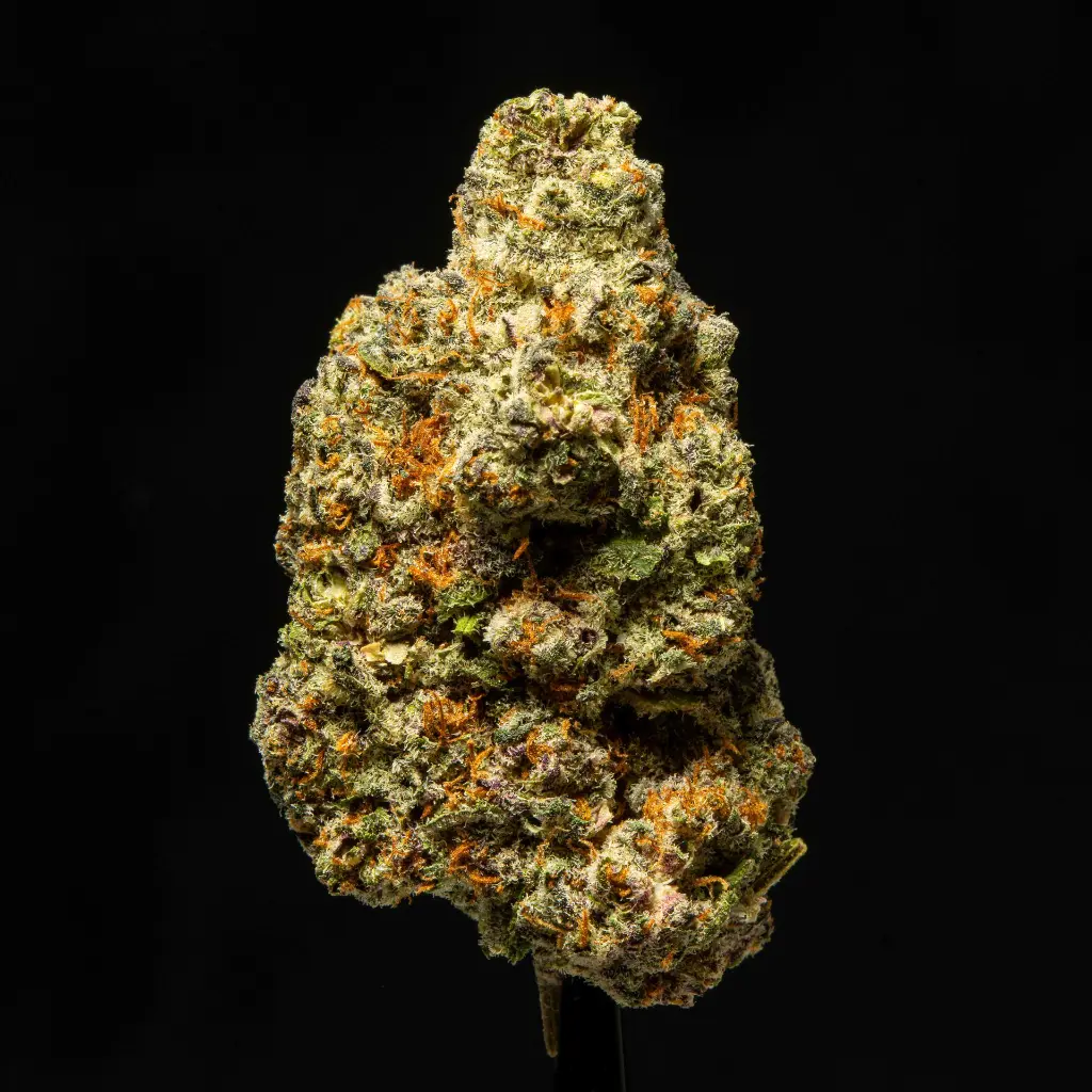 Cookies and Cream -FLOAT- 111425 (1).webp