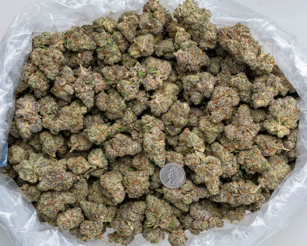 Cookies and Cream -BAG- 111425 (1).webp