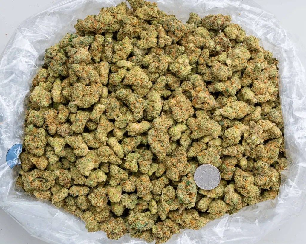 Alpine Stars Smalls -BAG- 111425.webp