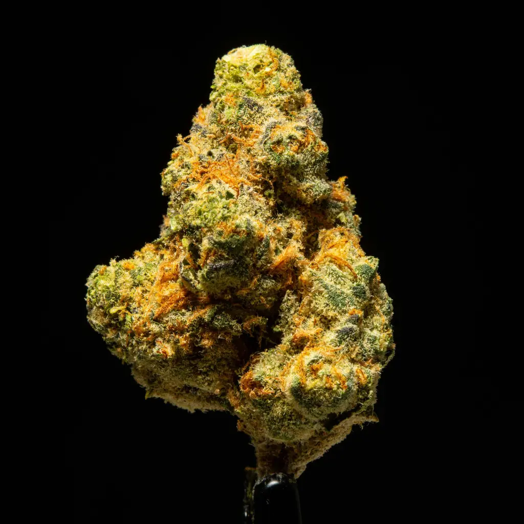 Alpine Stars Smalls -FLOAT- 111425.webp