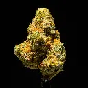 Alpine Stars Smalls -FLOAT- 111425.webp