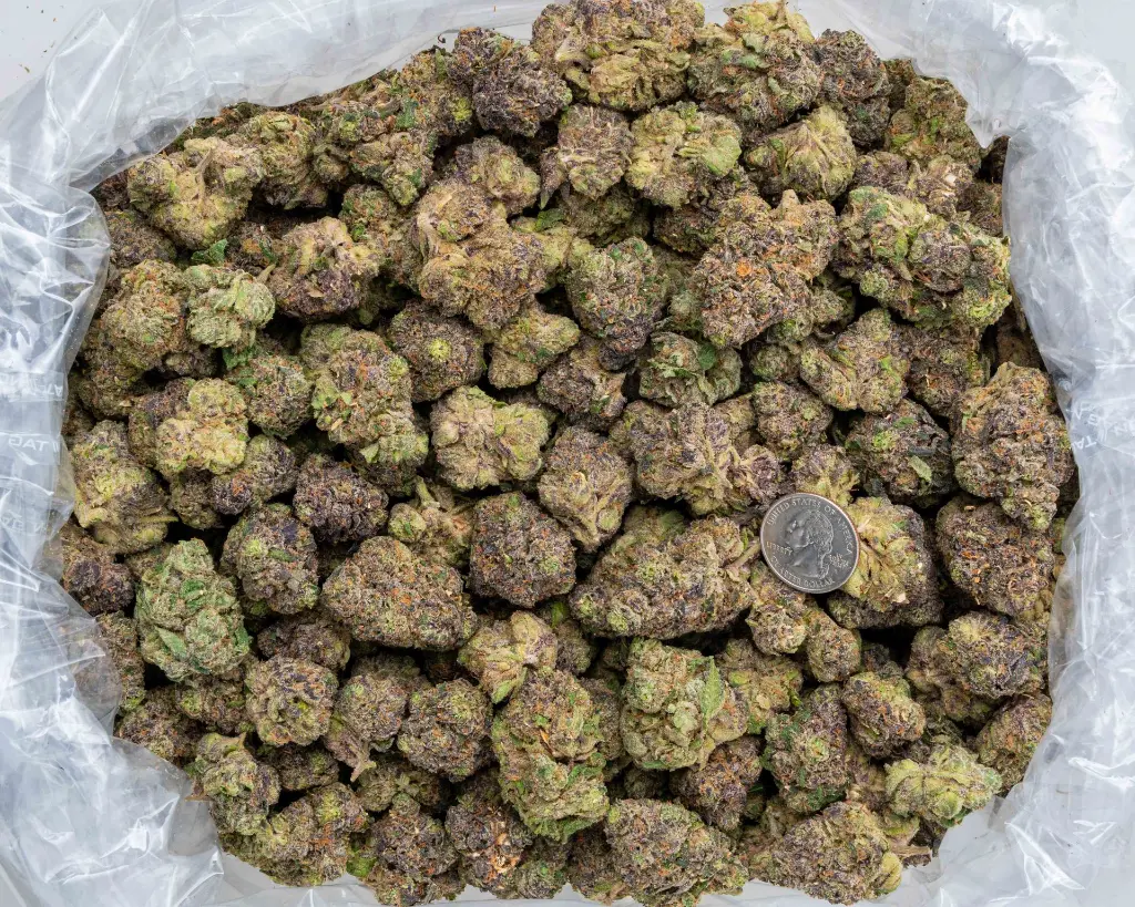 Lip Smackerz -BAG- 111425.webp