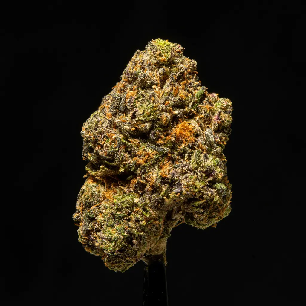 Lip Smackerz -FLOAT- 111425.webp