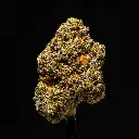 Lip Smackerz -FLOAT- 111425.webp