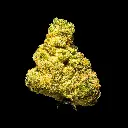 Donny Burger Indoor Smalls -FLOAT- 110725.webp