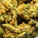 Palms_-_THCA_Flower_-_Wonderbread_-_Macro_6.webp