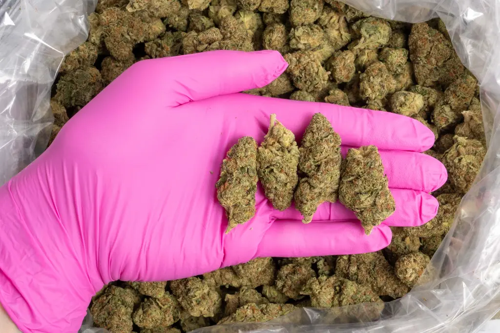 Durban Cookies-PINK-11-19-25.webp