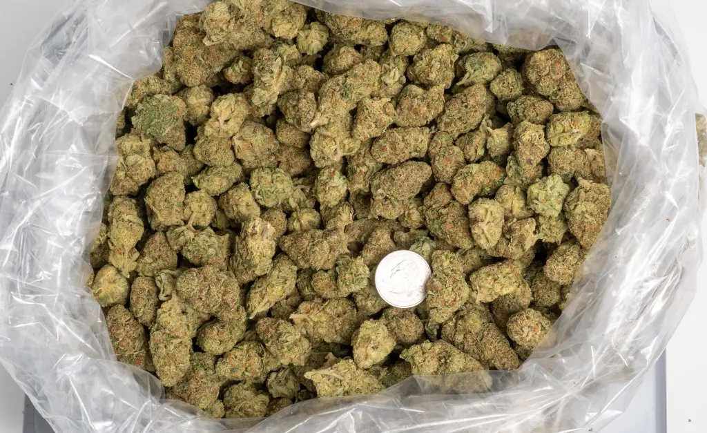 Durban Cookies-BAG-11-19-25.webp