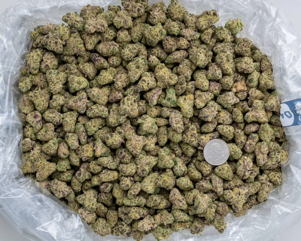 Drippin' Ain't Easy Smalls -BAG- 111425.webp