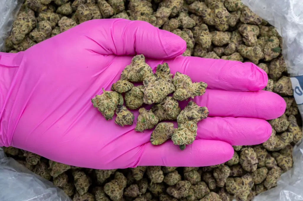 Drippin' Ain't Easy Smalls -PINK- 111425.webp