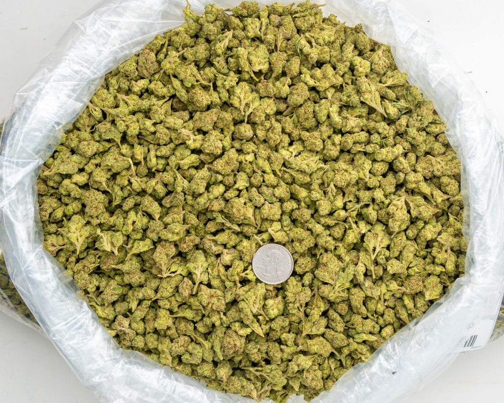 Gelato #33 Smalls -BAG- 081125 20250807RBG3S.webp