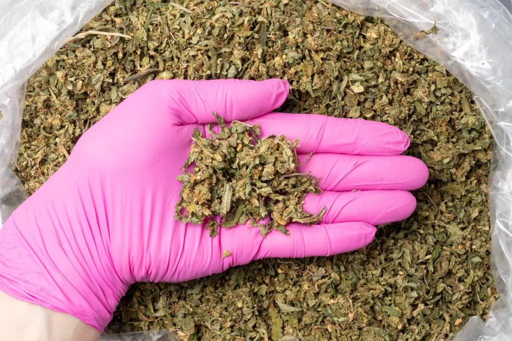 HeadhunterPreroll Mix B 11-19-25 PINK.webp